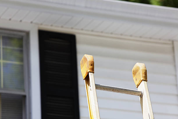 Best Wood Siding Installation  in Morningside, MD